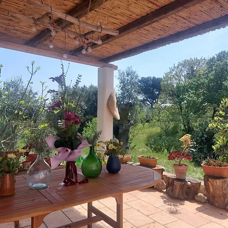 Physis B&b-a Casa Di Clio Panzió Ceglie Messapica
