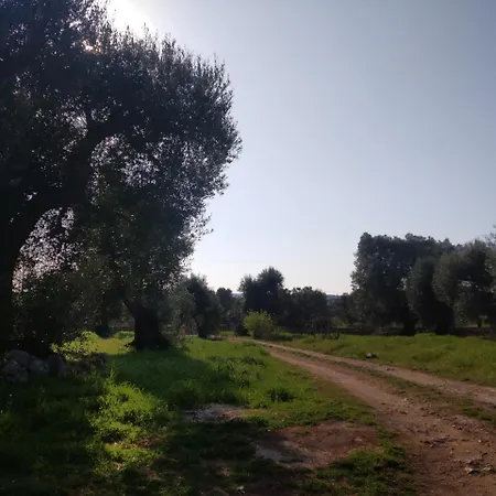 Physis B&b-a Casa Di Clio Panzió