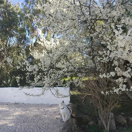 Physis B&b-a Casa Di Clio Panzió