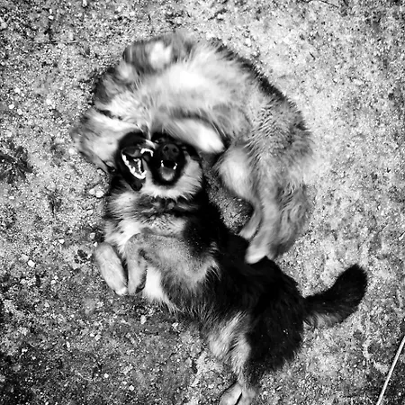 Physis B&b-a Casa Di Clio 3*