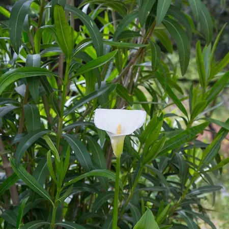 Physis B&b-a Casa Di Clio Челье-Мессапика