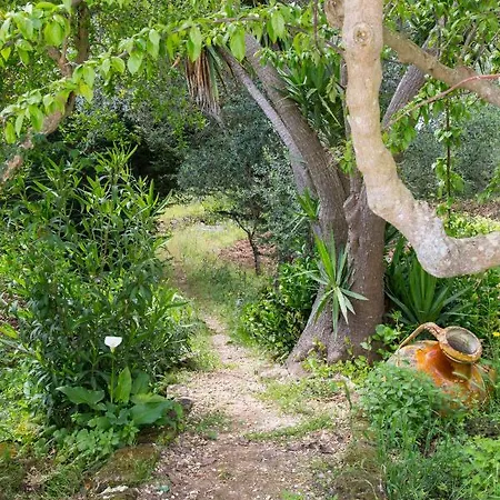Panzió Physis B&b-a Casa Di Clio