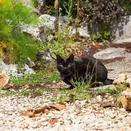 Physis B&b-a Casa Di Clio 3* Челье-Мессапика