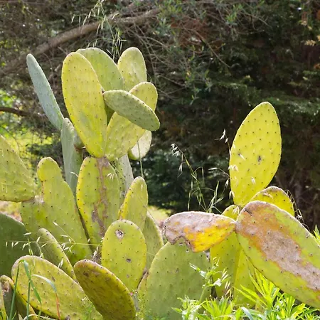 Physis B&b-a Casa Di Clio Отель типа 