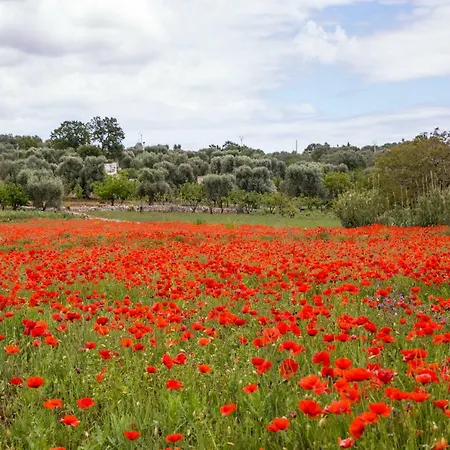 Physis B&b-a Casa Di Clio Челье-Мессапика