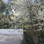 Physis B&b-a Casa Di Clio לינה וארוחת בוקר