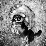 Physis B&b-a Casa Di Clio 3*