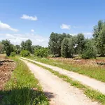 לינה וארוחת בוקר Physis B&b-a Casa Di Clio צ'לייה מספיקה