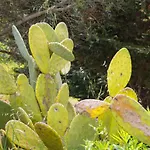 Physis B&b-a Casa Di Clio לינה וארוחת בוקר