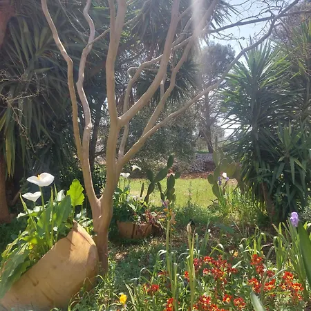 Bed and Breakfast Physis B&b-a Casa Di Clio 3*