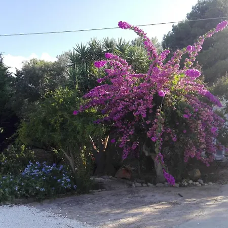 Physis B&b-a Casa Di Clio לינה וארוחת בוקר 3*