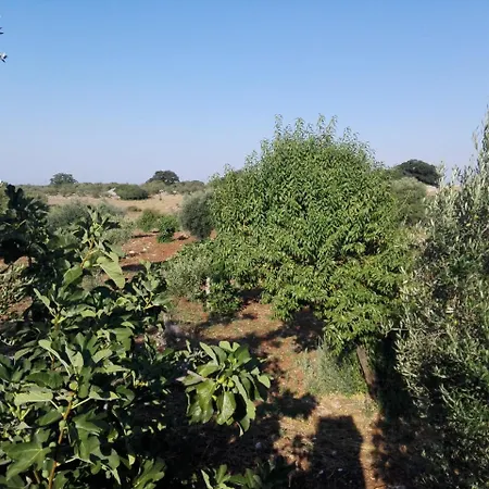 Physis B&b-a Casa Di Clio