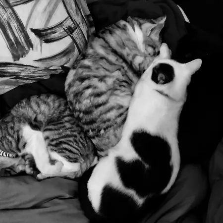 Physis B&b-a Casa Di Clio Alojamento de Acomodação e Pequeno-almoço Ceglie Messapica