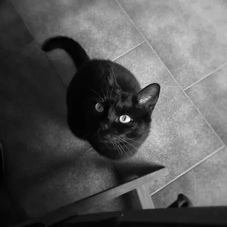 Physis B&b-a Casa Di Clio Alojamento de Acomodação e Pequeno-almoço 3*