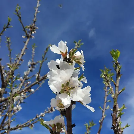 Alojamento de Acomodação e Pequeno-almoço Physis B&b-a Casa Di Clio 3*