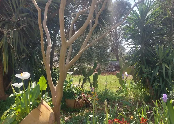 Bed and Breakfast Physis B&b-a Casa Di Clio 3*