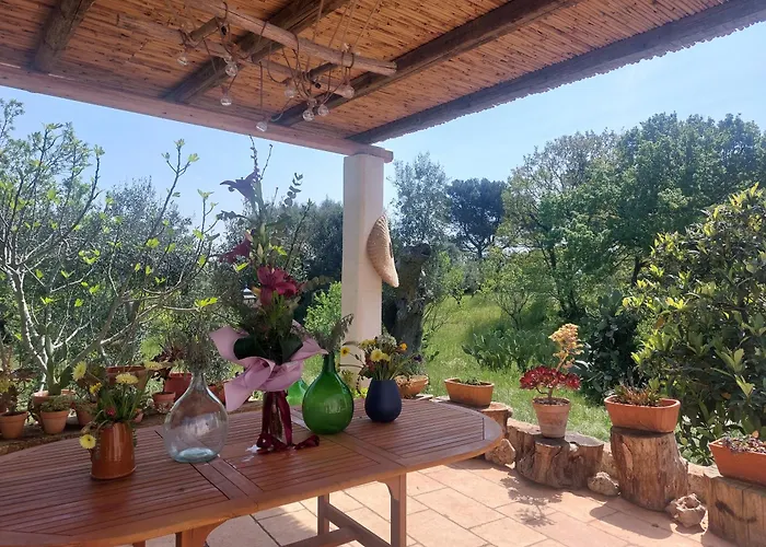 Physis B&b-a Casa Di Clio Bed and Breakfast Ceglie Messapica