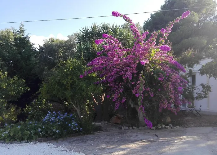 Physis B&b-a Casa Di Clio Bed and Breakfast 3*
