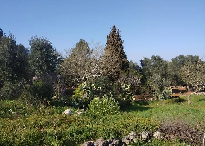 Physis B&b-a Casa Di Clio Bed and Breakfast