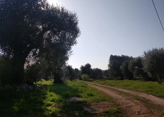 Physis B&b-a Casa Di Clio Bed and Breakfast