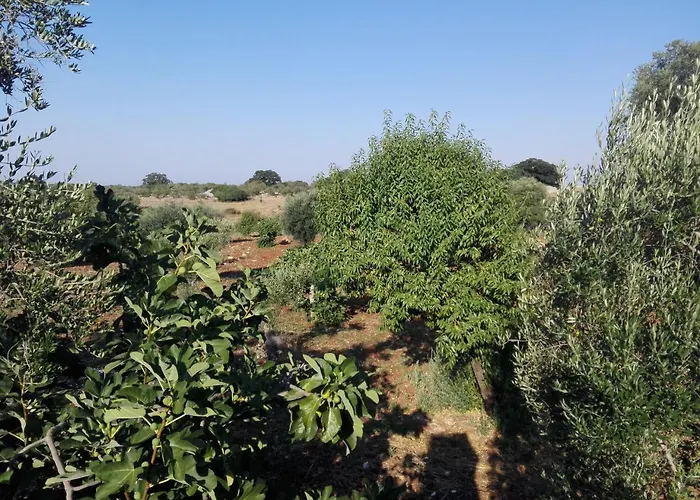 Physis B&b-a Casa Di Clio