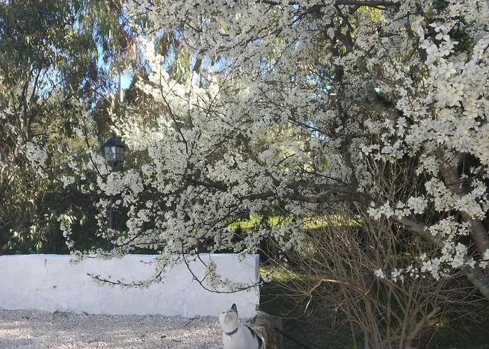 Physis B&b-a Casa Di Clio Bed and Breakfast