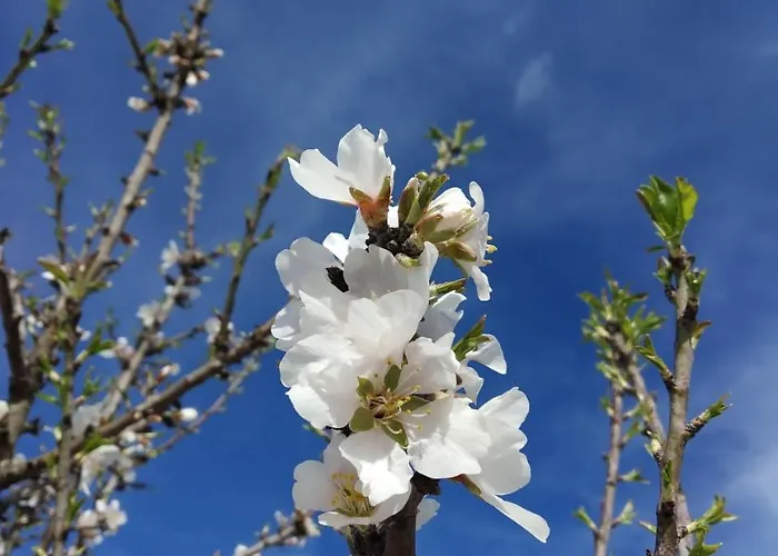 Bed and Breakfast Physis B&b-a Casa Di Clio 3*