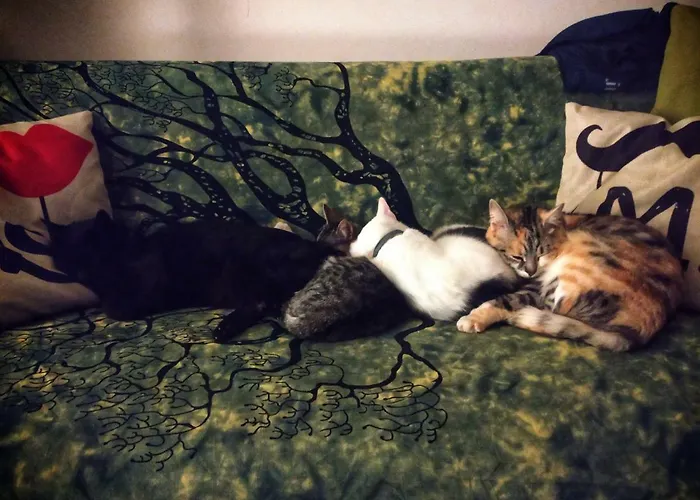 Physis B&b-a Casa Di Clio Bed and Breakfast 3*