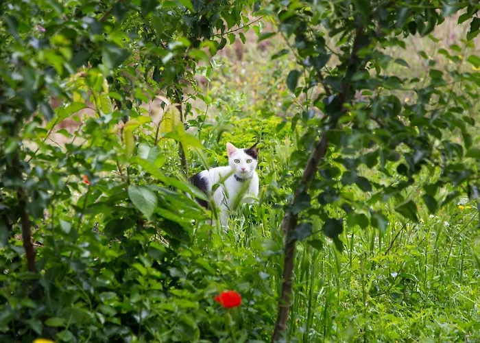 Physis B&b-a Casa Di Clio 3*