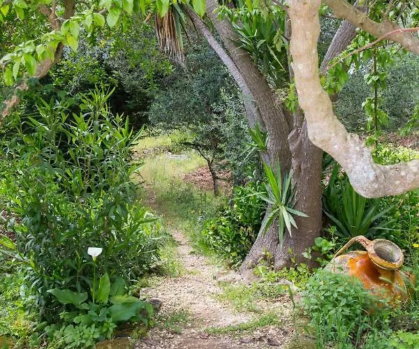 Bed and Breakfast Physis B&b-a Casa Di Clio